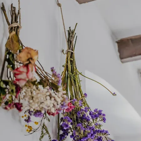 Apartamento Cà Dei Fiur A Cozy Nest&free Parking Bérgamo