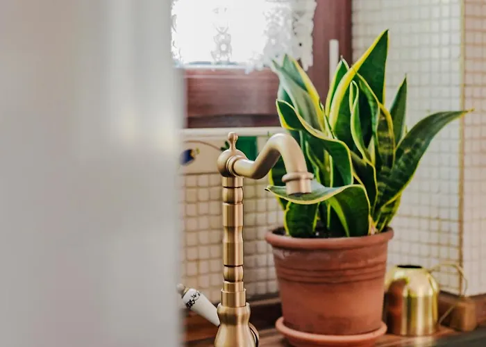 Ca Dei Fiur A Cozy Nest & Free Parking