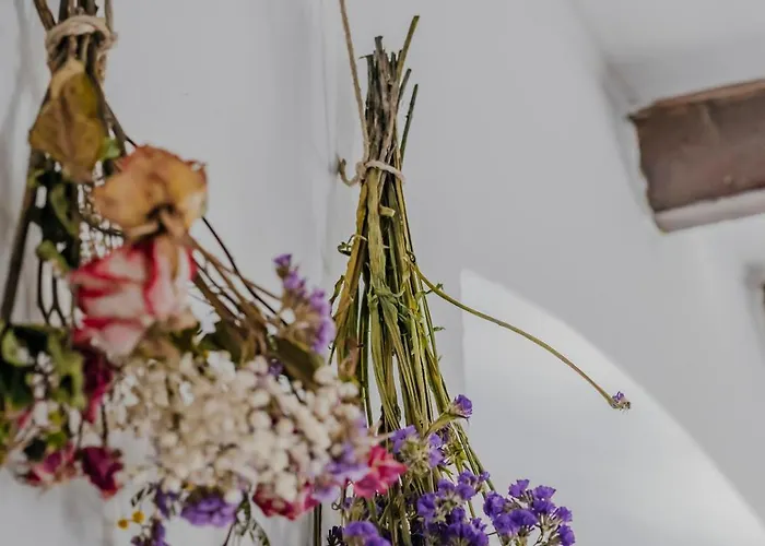 Apartmán Ca Dei Fiur A Cozy Nest & Free Parking Bergamo