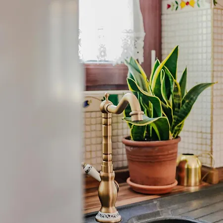 Ca Dei Fiur A Cozy Nest & Free Parking